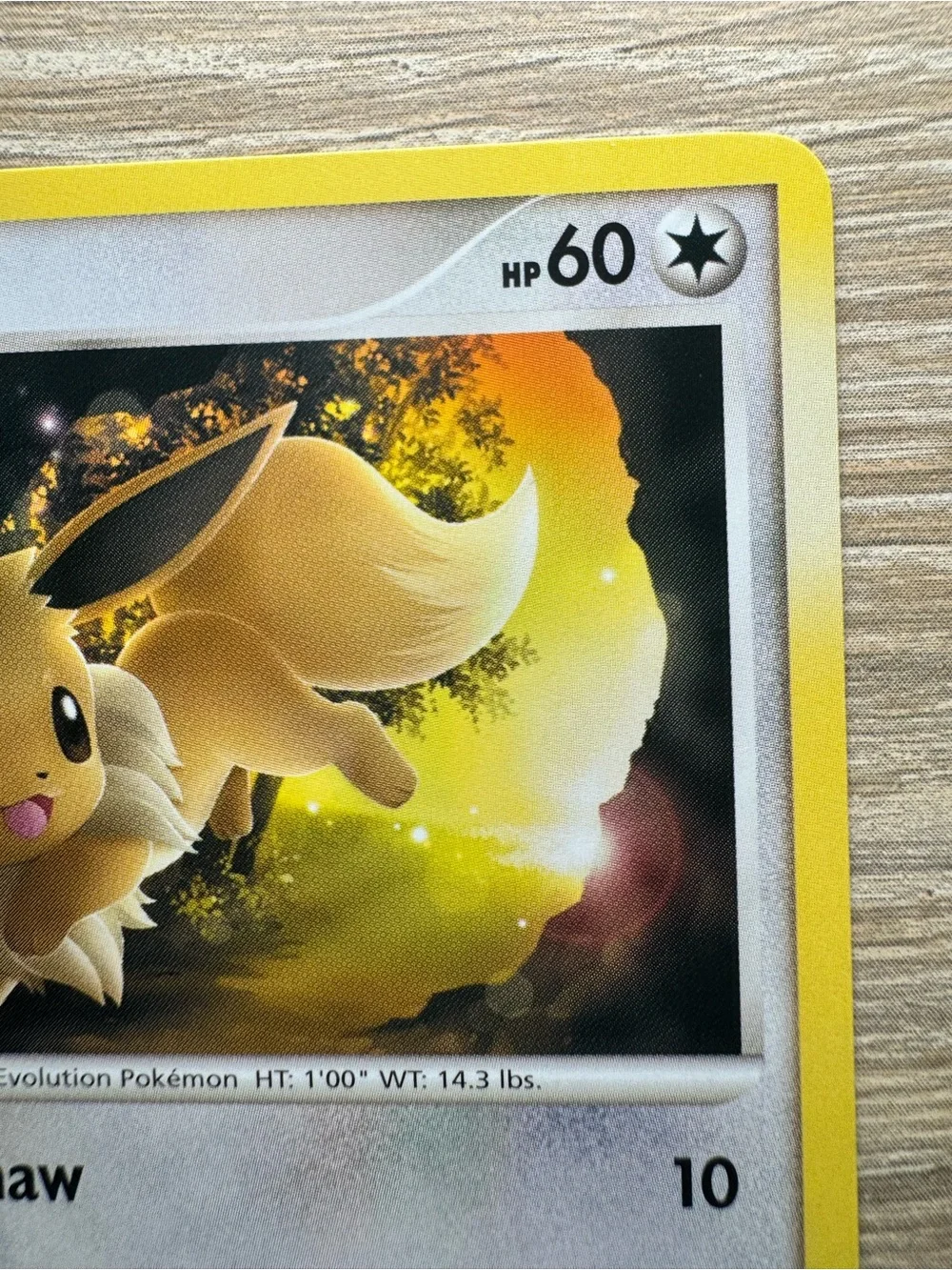 Eevee #63/Pokemon Majestic Dawn